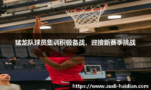 猛龙队球员集训积极备战，迎接新赛季挑战