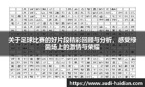 关于足球比赛的好片段精彩回顾与分析，感受绿茵场上的激情与荣耀