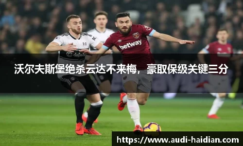 沃尔夫斯堡绝杀云达不来梅，豪取保级关键三分