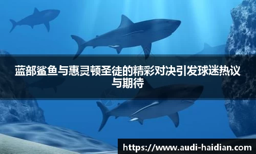 蓝部鲨鱼与惠灵顿圣徒的精彩对决引发球迷热议与期待
