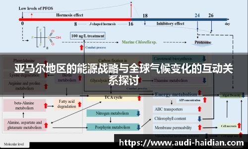 JN江南体育官方网站