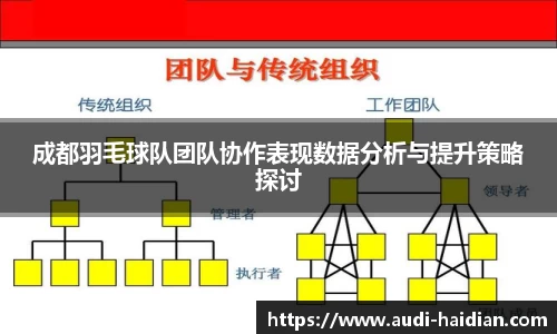 成都羽毛球队团队协作表现数据分析与提升策略探讨