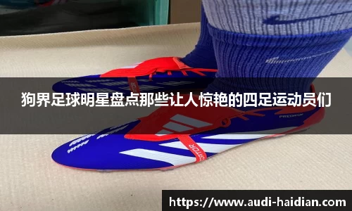 JN江南体育官网