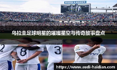 JN江南体育官方app